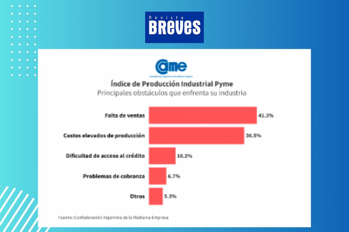 La industria pyme retrocede 6,6% en septiembre pero muestra señales de recuperación - imagen 5